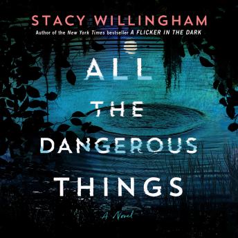 All the Dangerous Things Audiobook