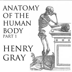 Anatomy of the Human Body