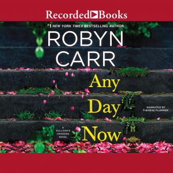 Any Day Now Audiobook