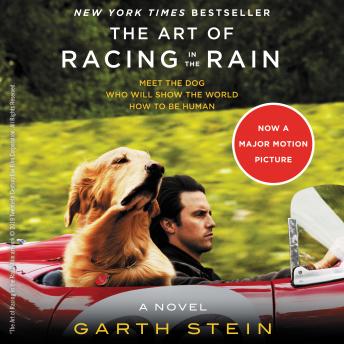 Art of Racing in the Rain Audiobook