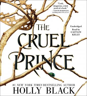 Cruel Prince Audiobook