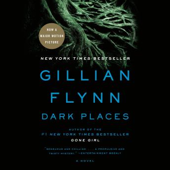 Dark Places Audiobook