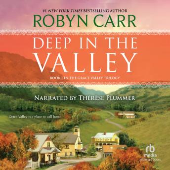 Deep in the Valley Audiobook