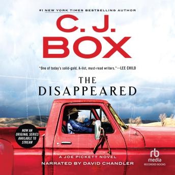 Disappeared Audiobook