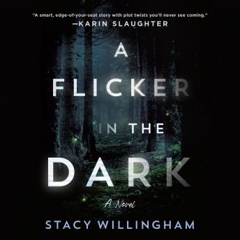 Flicker in the Dark Audiobook