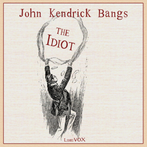 Idiot Audiobook