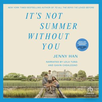 It's Not Summer Without You Audiobook