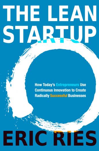 Lean Startup Audiobook