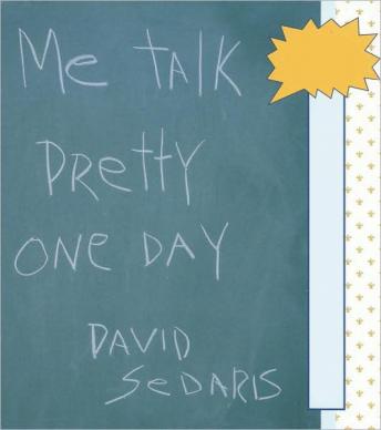 Me Talk Pretty One Day Audiobook