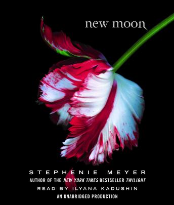 New Moon Audiobook