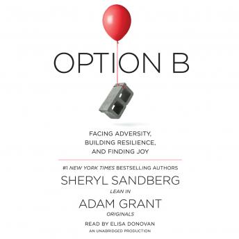 Option B Audiobook