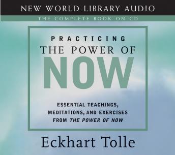Practicing the Power of Now Audiobook