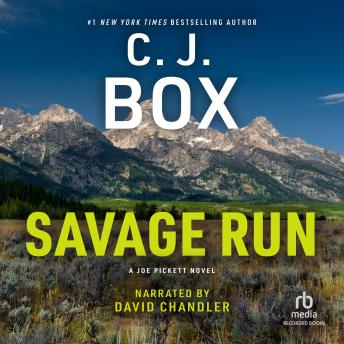 Savage Run Audiobook