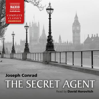 Secret Agent Audiobook