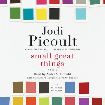 Small Great Things Audiobook