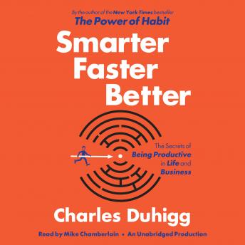 Smarter Faster Better Audiobook