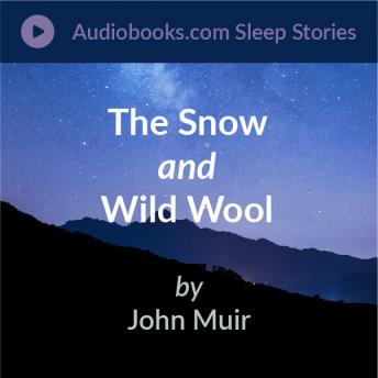 Snow and Wild Wool Audiobook