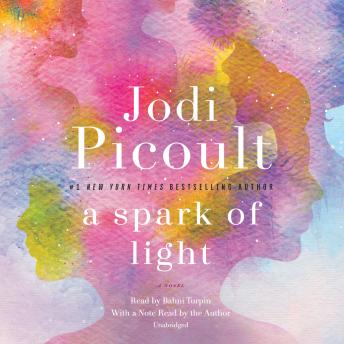 Spark of Light Audiobook