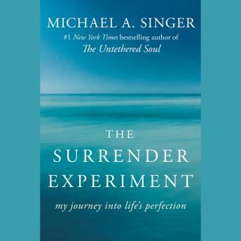 Surrender Experiment Audiobook