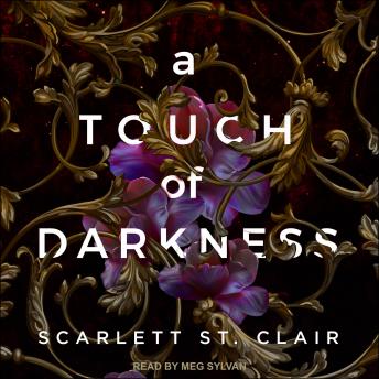 Touch of Darkness Audiobook