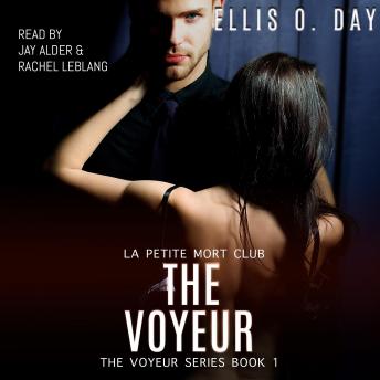 Voyeur Audiobook