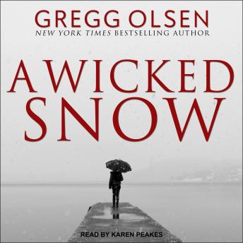 Wicked Snow Audiobook