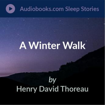 Winter Walk Audiobook
