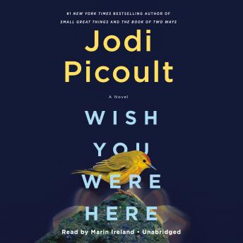 Wish You Were Here Audiobook