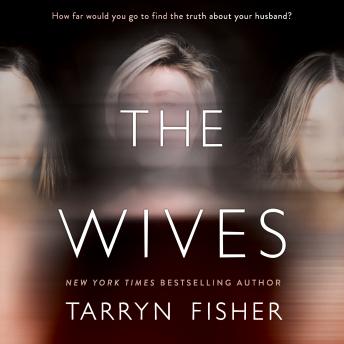 Wives Audiobook